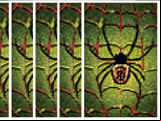 Spider Solitaire